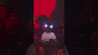 When the cat s away, the will play deadmau5