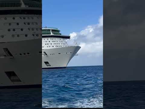 Thumbnail for Independence of the Seas SHOCKS with its Massive Size!
