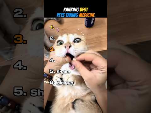 Ranking Best Pets Taking Medicine