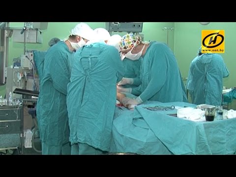 Где у собаки скакательный сустав Болит рядом с поясницей слева