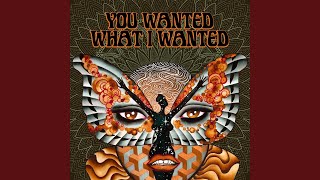You Wanted What I Wanted