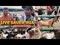 Deonar Bakra Mandi Latest Update 2025 Deonar Bakra Mandi Sunday Special