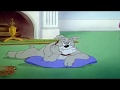 Tom And Jerry Episode 22