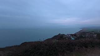 A walk around Blackgang, Isle of Wight (and a Sparrowhawk takes a Wheatear....)