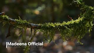 Download lagu Pengorbanan para Sahabat || ust. Dzulkarnain | bayan sedih mp3