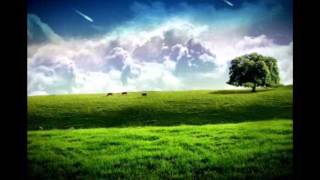 Infusion - Green