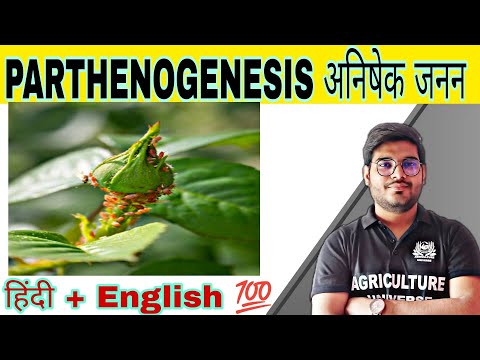 defination allopolyploid allopolyploid kya hai allopolyploid in hindi what is allopolyploid