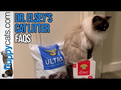 Dr. Elsey's Cat Litter FAQ: Is Dr. Elsey's cat litter safe?
