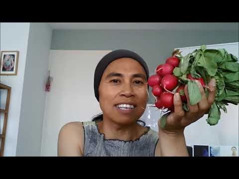 3 amazing health benefits of raddish