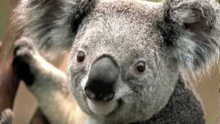 MBKR: What did I do wrong