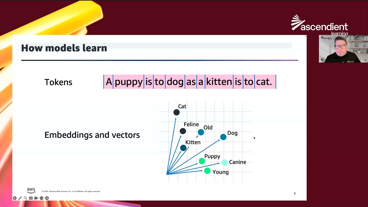 Click here to watch this video...