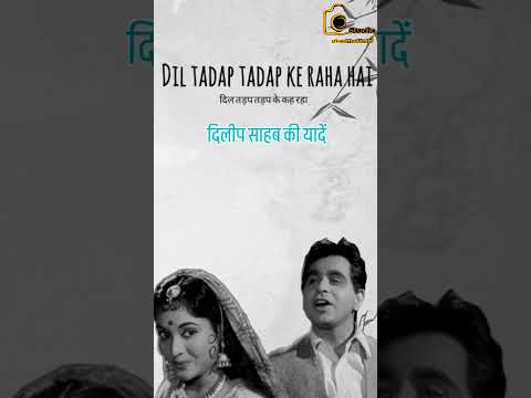 दिल तड़प - तड़प के कह रहा।  HD - Madhumati । Mukesh - Lata Mangeshkar। Dilip, Vyjayanthimala ।‌