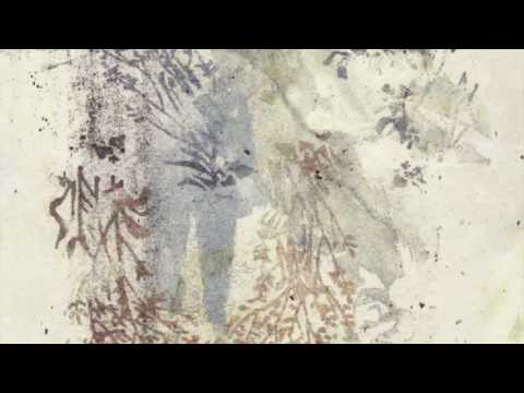 Sigur Rós - Hoppípolla (Planet Earth II Mix)