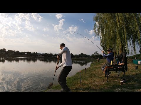 La Baltute  Orastie 👍