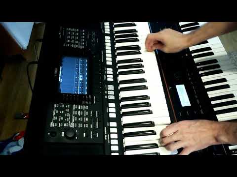 František Nedvěd, Jan Nedvěd - Jižní kříž LIVE keyboard instrumental cover