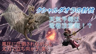 【MHW】クシャルダオラ　太刀ソロ