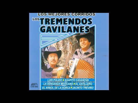 Agapito Casanova - Los Tremendos Gavilanes