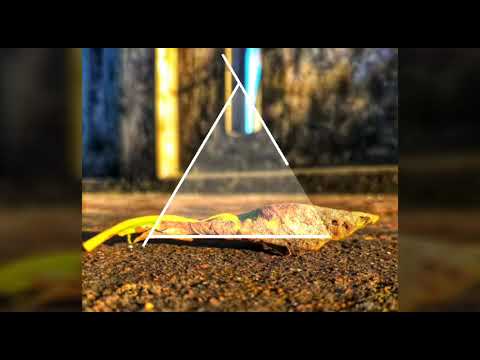 Nature photography by Diganta 🤗 l Lensation_picture_studio_32 l Diganta's Creation