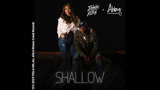 Jimmie Allen &amp; Abby Anderson - Shallow (Audio Video)