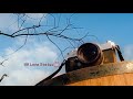 Yetho Ondru Yetho Ondru Unnai Ketpen Whatsapp Status Download In Tamil Lovely Song Shaam Trisha