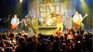 Senses Fail- Sick Or Sane