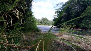 preview picture of video 'Aguas Bravas - Sarapiqui, Costa Rica 2/3 River Rafting Rio Sarapiqui'