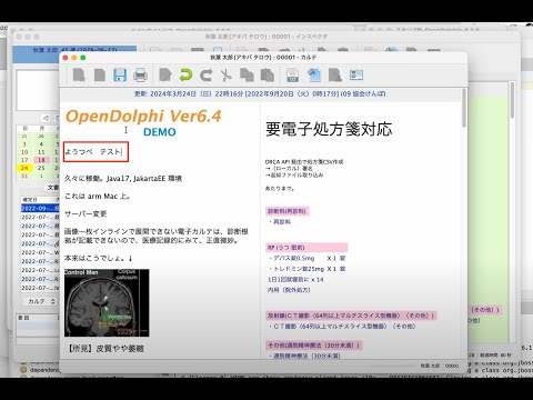 保健学科 OpenDolphin 6.3.1 を使う