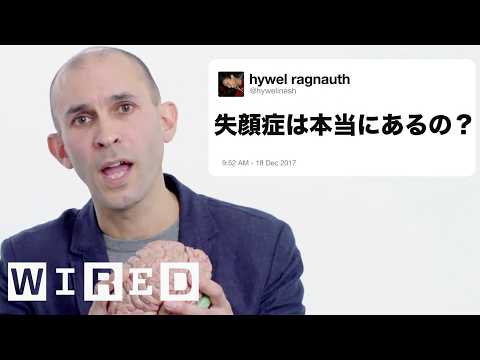 脳科學者だけど質問ある? | 技術支援 (脳科学者だけど質問ある? | Tech Support)