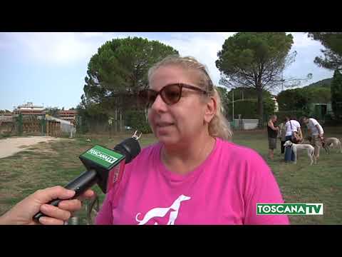 2019-08-12 PRATO - I LEVRIERI SPAGNOLI SALVATI DA 'INSIEME PER FBM'