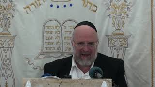 פרשת וילך תשע"ט - הרב ברוך רוזנבלום