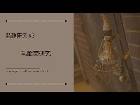 発酵研究 #3 「乳酸菌研究 」