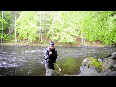 Is The Fly Important?