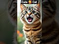 Mau Mau Billi Billi Ki Awaaz Cat Funny Sound Billi Billi Voice Billi Voice