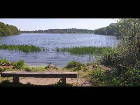 BuGaJ - we belong... spontan (prod. Neo)