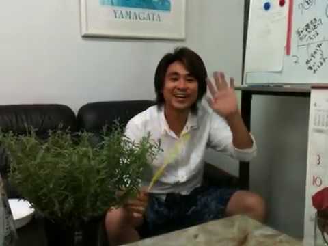 ラベンダーを鉢に植える時期はいつ？どうやって ？季節に応じたメンテナンスアドバイス  庭園