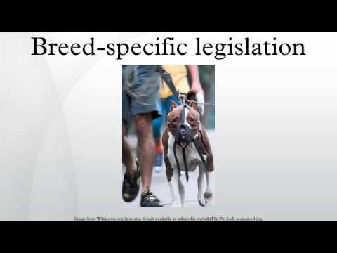 Breed-specific legislation