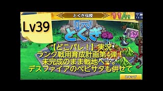 【どこパレ】Aランク激闘に向けてグレムリンにデスファイアを伝授！【どこでもモンパレ】