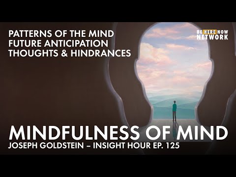 Mindfulness of Mind with Joseph Goldstein – Insight Hour Ep. 125