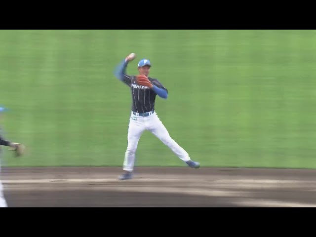 【春季キャンプ紅白戦】ファイターズ・石井一成が逆シングルからのジャンピングスローで魅せる!! 2024年2月4日 北海道日本ハムファイターズ