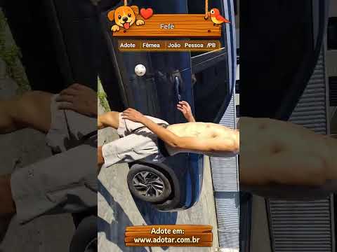 Vídeo de Fefê 