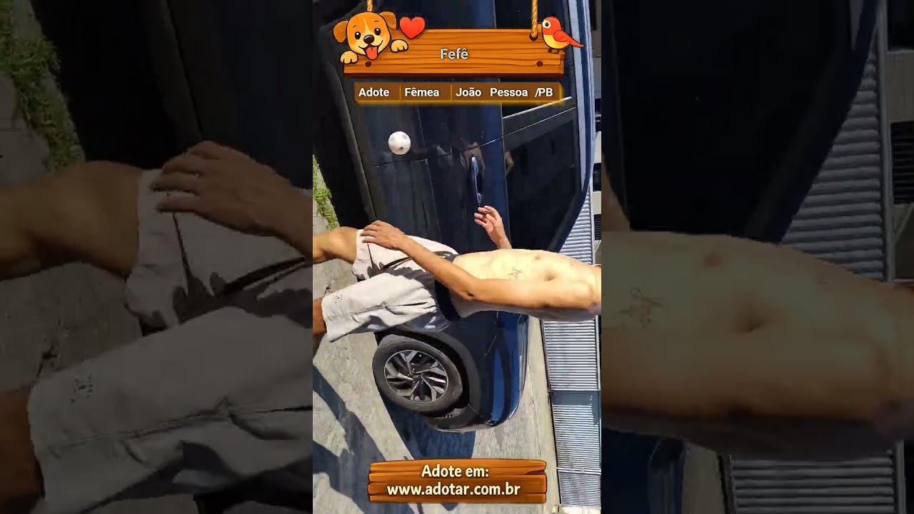 Cachorro raça SRD-ViraLata idade 2 a 6 meses nome Fefê 