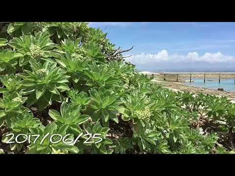 【Origin】BBOY LUCK × Yudai Original Trailer 2017