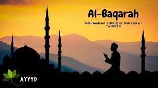 سورة البقرة محمد صديق المنشاوي تجويد بدون اعلانات