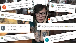 Responding to accusations & criticism