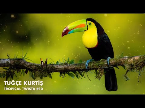 Tuğçe Kurtiş – Tropical Twista Records (Organic House Mix)