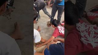 Download lagu Jaranan Pegon, Kesurupan #shorts #jaranan #jarananpegon #jarananndadi #kesurupanjaranan #culture mp3