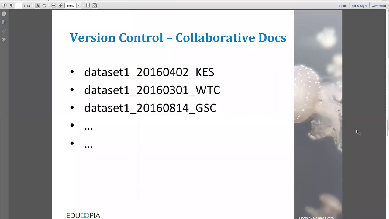 Electronic Thesis and Dissertation Toolkit: Version Control