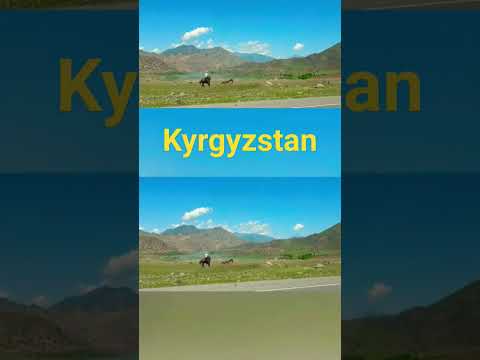 , title : 'Kyrgyzstan vlogs #shortsfeed #shortsyoutube #shorts #vlogs #travel'