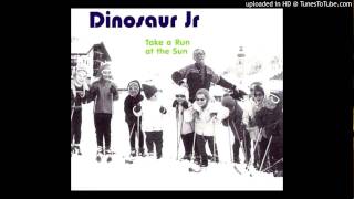 Dinosaur Jr J Mascis - Take A Run At The Sun