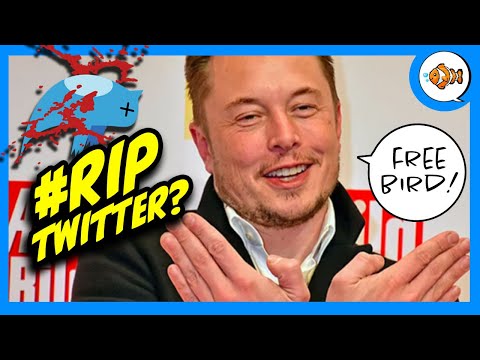 #RIPTwitter: Elon Musk LOCKS Twitter Employees Out of Twitter HQ?!